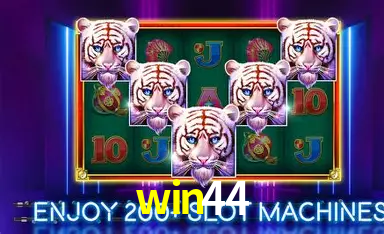 win44: A Experiência de Casino com Jogos de Mesa ao Vivo