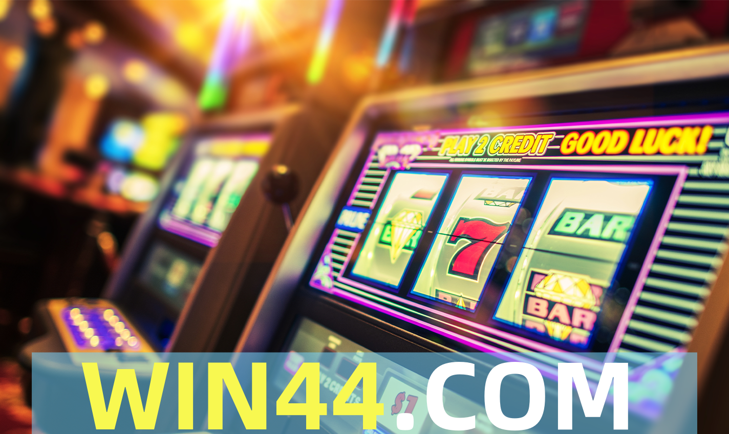 win44